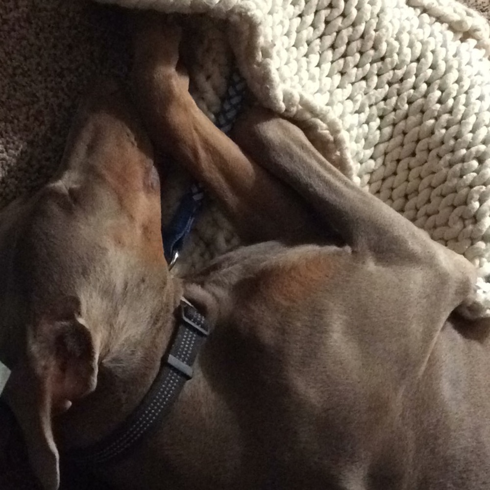 Meet your Posher, Phyllis